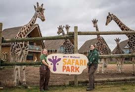 Win A Family Ticket For West Midlands Safari Park
